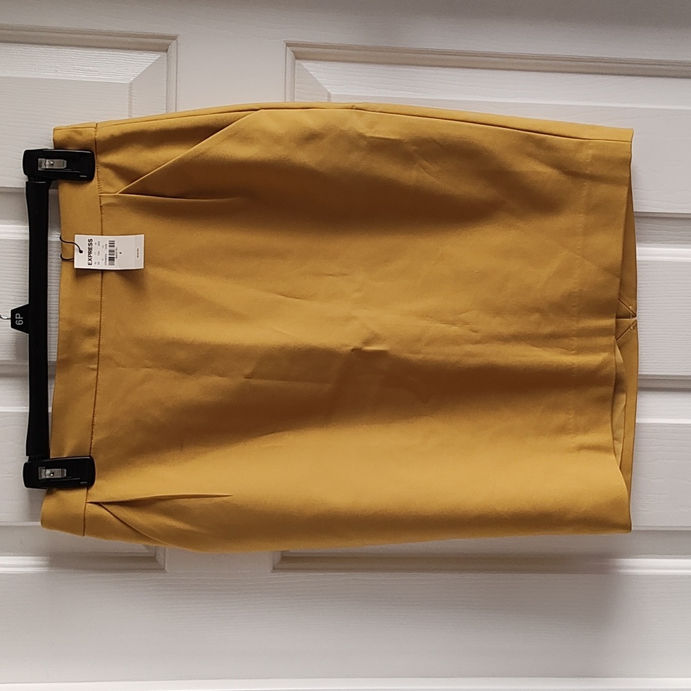 Express Short pencil skirt